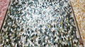 Solid Blacklip (Tahiti) Mother of Pearl Tile 2