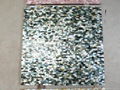 Solid Blacklip (Tahiti) Mother of Pearl Tile 3