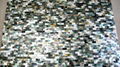 Solid Blacklip (Tahiti) Mother of Pearl Tile