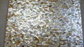 Solid Goldlip Mother of Pearl Tile