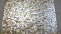 Solid Goldlip Mother of Pearl Tile 3