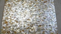 Solid Goldlip Mother of Pearl Tile