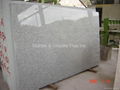 G603 granite slab 2