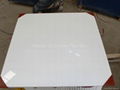 Vitrified/Crystallized Glass Tile 1