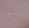 Landscape Yellow Sandstone