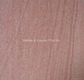 Light Wood Yellow Sandstone