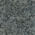 Pearl Flower Granite