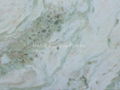 Onyx White Marble / Lady Onyx