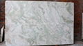 Onyx White Marble / Lady Onyx