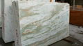 Onyx White Marble / Lady Onyx