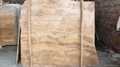 Timber Brown marble slab 2