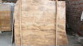 Timber Brown marble slab