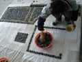 Pebble Mosaic pattern 1