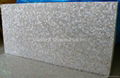 25x25mm/2440x1220x20mm Solid White freshwater MOP slab 4