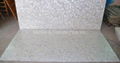 25x25mm/2440x1220x20mm Solid White freshwater MOP slab 5