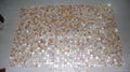 mesh Natural Yellow shade mother of pearl (MOP) shell mosaic tile 3