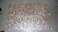 mesh Natural Yellow shade mother of pearl (MOP) shell mosaic tile 4