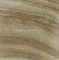 Wood Vein Yellow sandstone 1