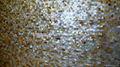 25x15mm/2430x1210x20mm Solid Yellowlip Seashell MOP slab 3