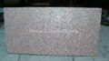 20x10mm/2440x1220x20mm Solid Pink Seashell MOP slab 2