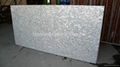 25x15mm/2430x1210x20mm Solid White freshwater MOP slab