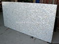 25x15mm/2430x1210x20mm Solid White freshwater MOP slab