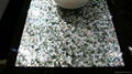 Solid Blacklip Seashell Mother of Pearl Slab for Table Top