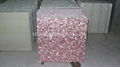 Pink American Shell MOP tile