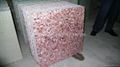 Pink American Shell MOP tile