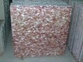 Pink American Shell MOP tile 5