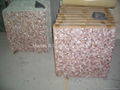 Pink American Shell MOP tile 1