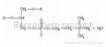 Polyene Phosphatidylcholine