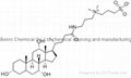 3-[(3-cholamidopropyl)dimethylammonio]propanesulfonate（CHAPS） 1