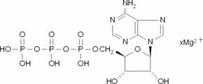 Adenosine 5'-triphosphate Magnesium