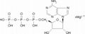 Adenosine 5'-triphosphate Magnesium 1