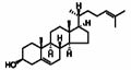 脫氫膽固醇 CAS: 313-04-2 1