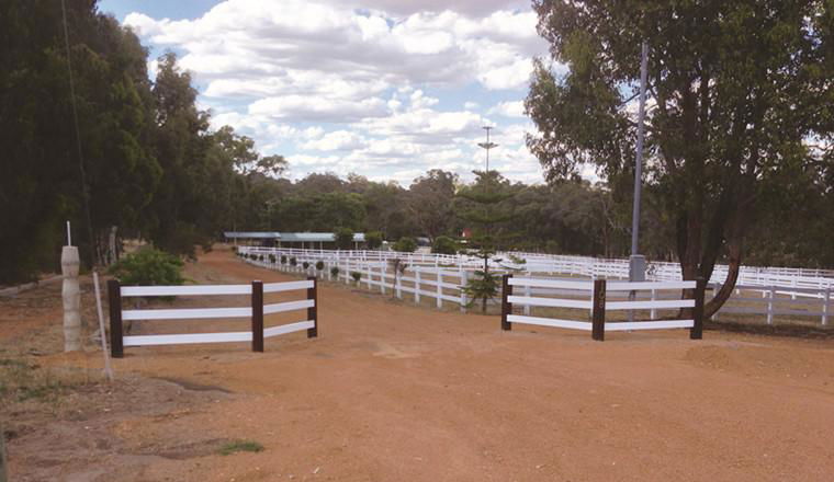 Ranch Fence 2