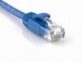 CAT6 patch cord 1