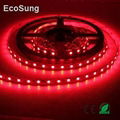 12V 5050 flex led strip, led light