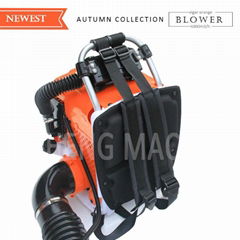 Knapsack Gasoline Leaf Blower