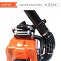 Knapsack Gasoline Leaf Blower 2