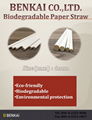 Biodegradable paper straw