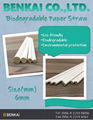 Biodegradable paper straw 1