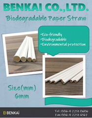 Biodegradable paper straw