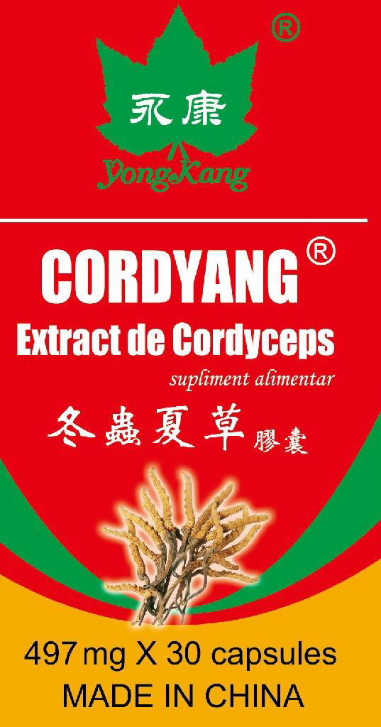 Cordyang Capsule