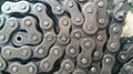 Roller chain & Sprocket 3