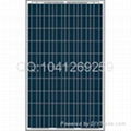 220-235W Polycrystalline solar pv module