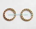 phosphor bronze lock washer 1