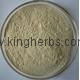 China Allium Cepa Extract