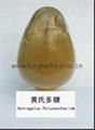 China Astragalus Extract